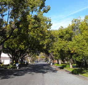 Homes For Sale in Willow Glen in San Jose CA